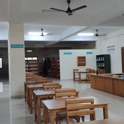libary